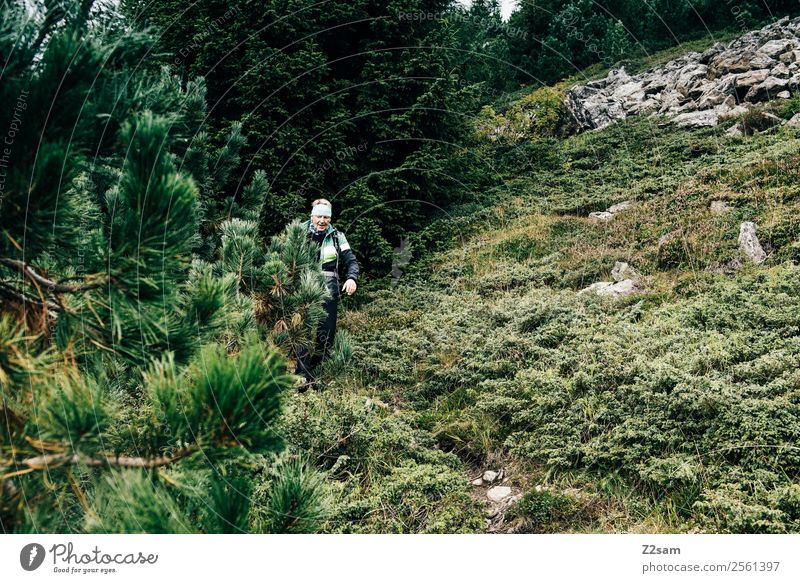 Wanderer im Pitztal Berge u. Gebirge wandern Mann Erwachsene Männlicher Senior 60 und älter Natur Landschaft Herbst Sträucher Wald gehen sportlich grün