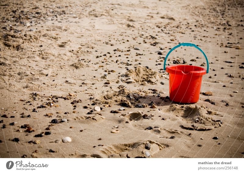 DÄNEMARK - XL Umwelt Natur Landschaft Sand Wasser Sommer Schönes Wetter Strand Nordsee Stein rot matschen Eimer Spielzeug Kleinkind Einsamkeit bewegungslos
