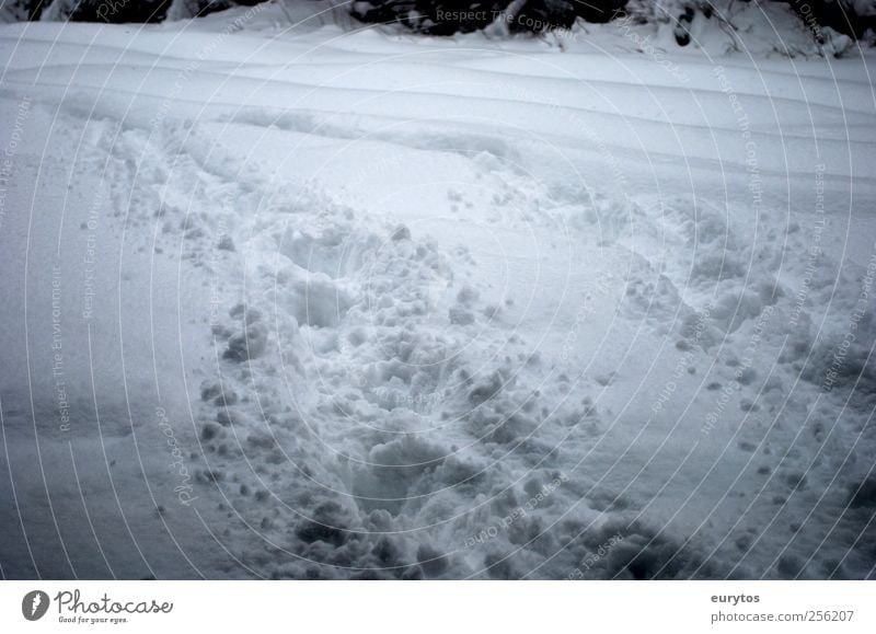 Yeti Umwelt Natur Landschaft Winter Klima Klimawandel Wetter Unwetter Eis Frost Schnee kalt Abenteuer Spuren wandern Farbfoto Außenaufnahme Lomografie Holga