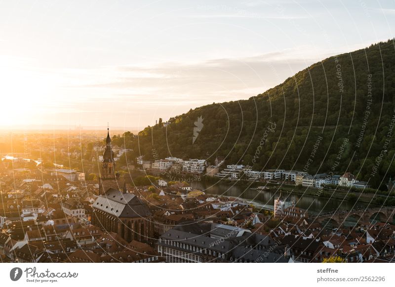 Aussicht auf die Altstadt von Heidelberg bei Sonnenuntergang Wolken Sonnenaufgang Sonnenlicht Sommer Schönes Wetter Wald Hügel Kirche Idylle ruhig