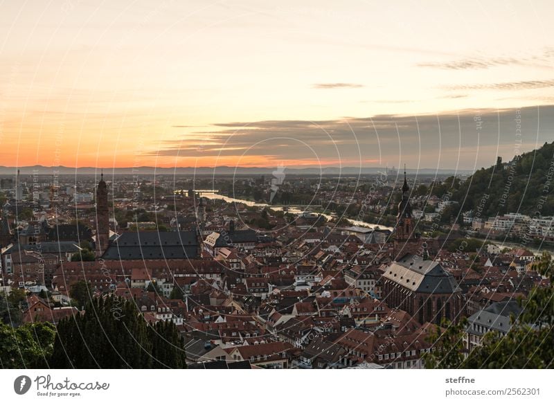 Aussicht auf die Altstadt von Heidelberg bei Sonnenuntergang Himmel Sonnenaufgang Sonnenlicht Sommer Schönes Wetter Kirche Idylle Religion & Glaube Neckar