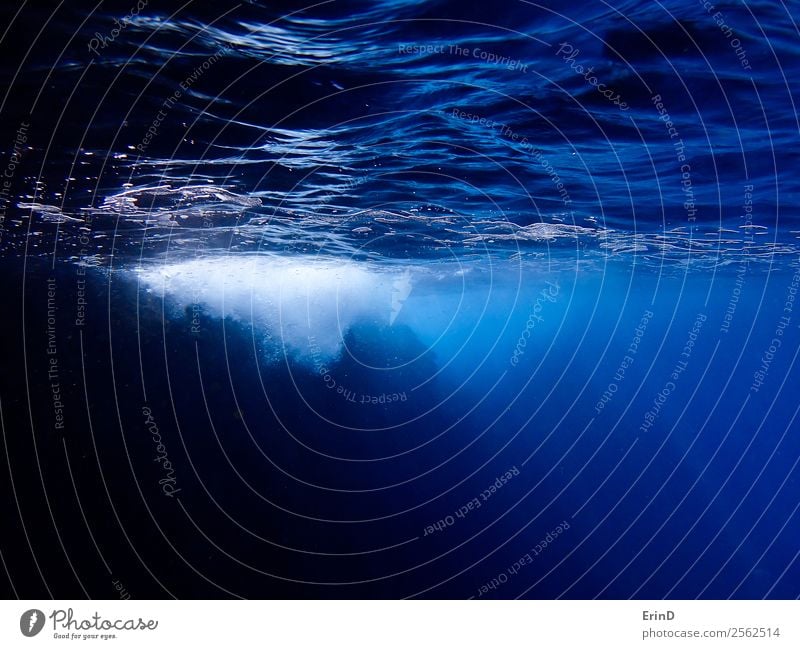 Unterwasseroberfläche des Ozeans mit weißen Blasen und Lichtstrahlen ruhig Ferien & Urlaub & Reisen Meer tauchen Natur nass unten blau Gelassenheit Frieden