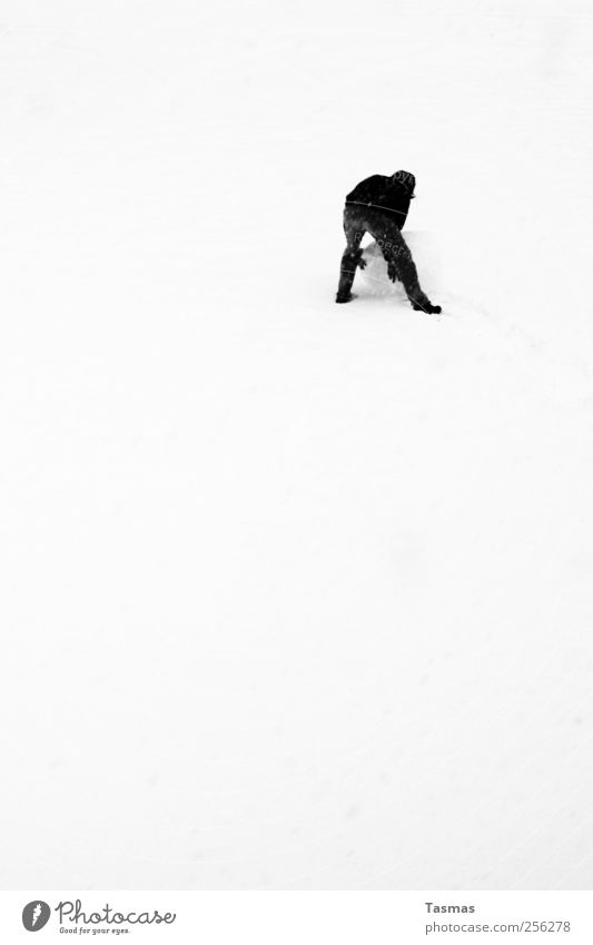 Schneeball Mensch maskulin Mann Erwachsene 1 Wetter Schönes Wetter Schneefall Schneebälle Schneemann Bauwerk Stimmung Freude Glück temporär bauen