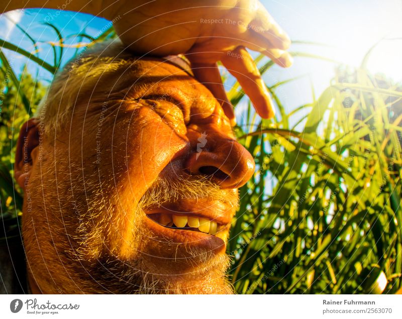ein Mann sieht bei großer Hitze ins Sonnenlicht Mensch maskulin Erwachsene Männlicher Senior Kopf 1 Umwelt Natur Himmel Sommer Klima Klimawandel Wetter