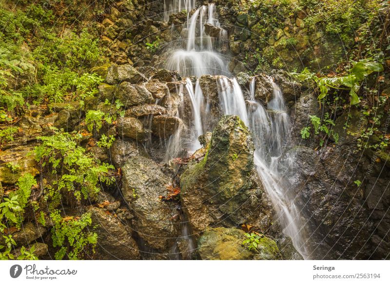 Abwärts Umwelt Natur Landschaft Pflanze Tier Urelemente Wasser Sommer Herbst Hügel Felsen Berge u. Gebirge Wasserfall mehrfarbig gelb grün orange weiß Erholung