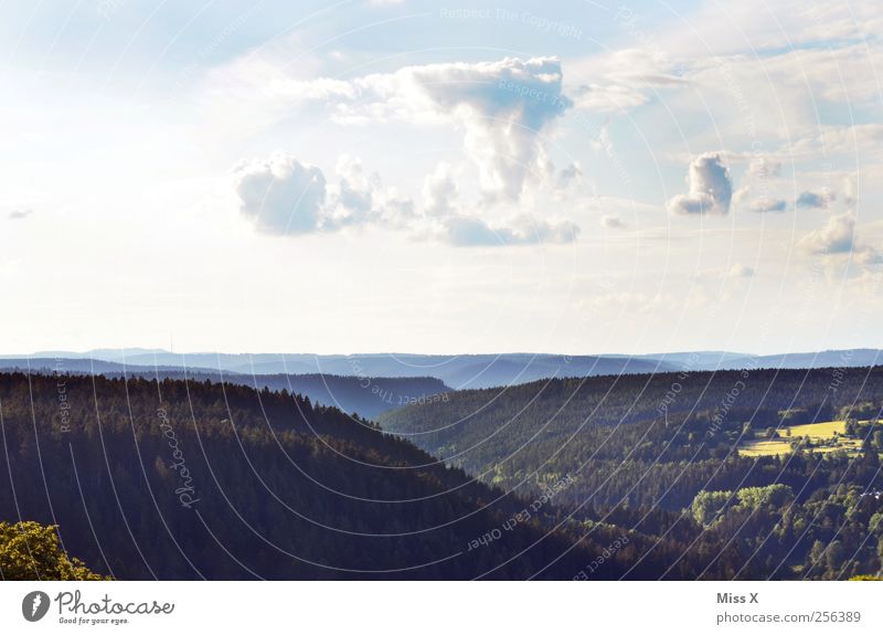 Schau ins Ländle Ferien & Urlaub & Reisen Ferne Freiheit Landschaft Himmel Wolken Schönes Wetter Baum Wald Hügel Berge u. Gebirge Erholung Horizont Schwarzwald