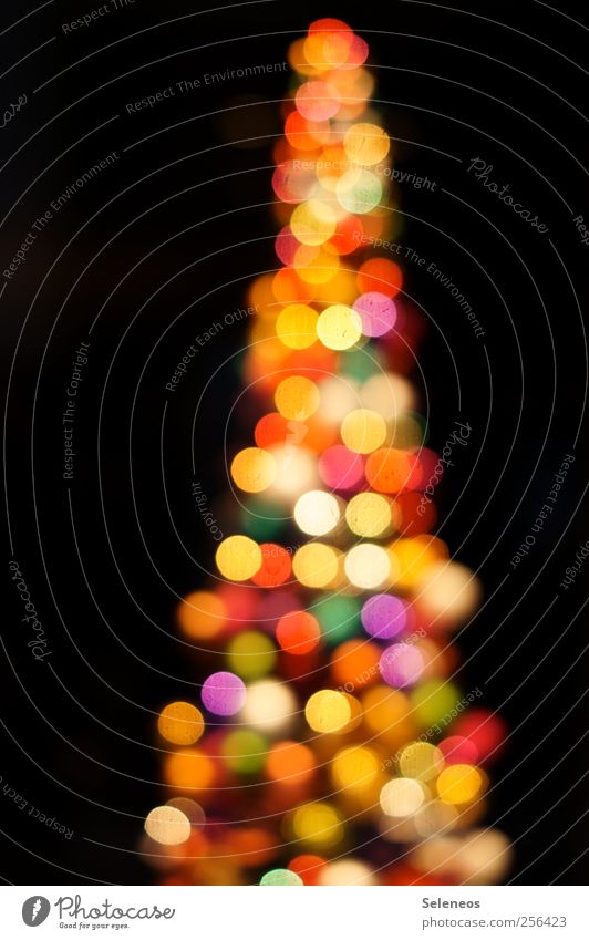 Glitzerbaum Nachtleben Feste & Feiern Weihnachten & Advent Baum Kugel glänzend Fröhlichkeit Kitsch rund verrückt trashig Unschärfe Farbfoto Menschenleer