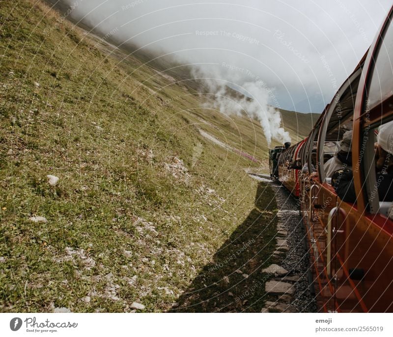 Brienz-Rothorn-Bahn Freizeit & Hobby Dampflokomotive dampfbahn Herbst Nebel Wiese alt authentisch Schweiz Brienzer Rothorn Wanderausflug Wandertag Nostalgie