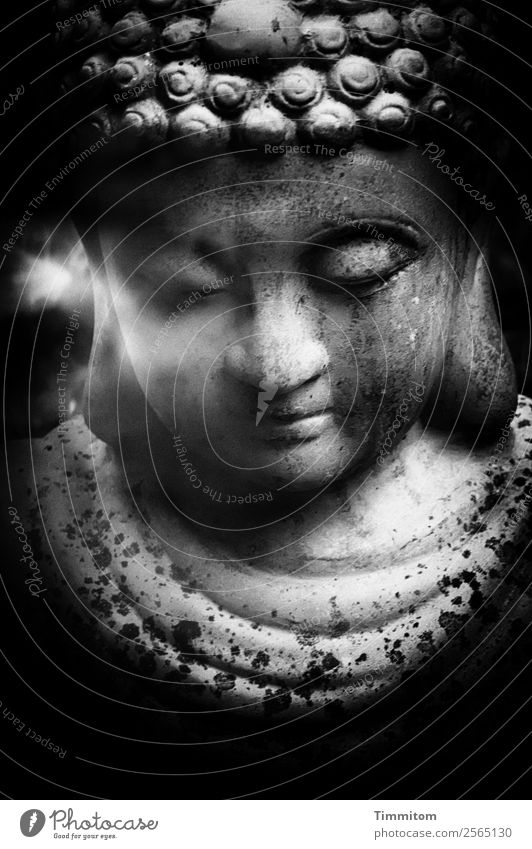 Buddha Figur grau schwarz weiß Gefühle Zufriedenheit Akzeptanz Gelassenheit ruhig Schwarzweißfoto Buddha Statue Buddhismus Außenaufnahme Menschenleer Tag Licht