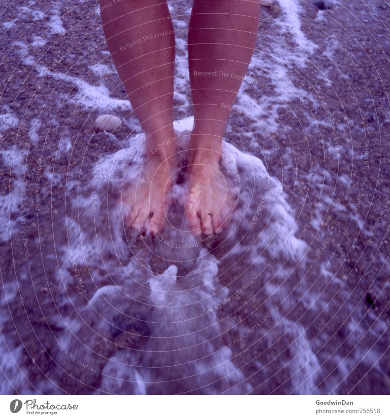 Halte mich. Mensch Frau Erwachsene Beine Fuß 1 Umwelt Natur Urelemente Erde Sand Wasser Klima Wetter Schönes Wetter Strand Meer frieren stehen Traurigkeit frei