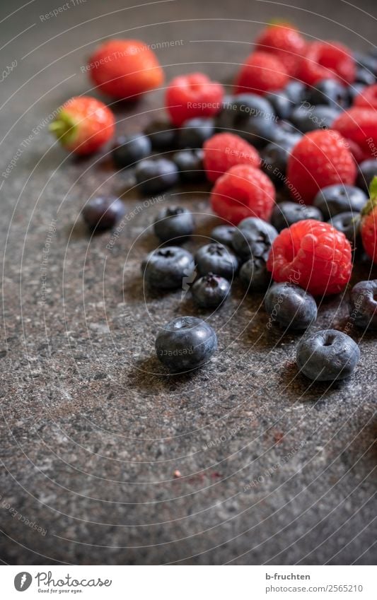 Süsse Beeren Lebensmittel Frucht Bioprodukte Gesunde Ernährung Küche wählen beobachten kaufen frisch Gesundheit rund saftig Blaubeeren Himbeeren Erdbeeren