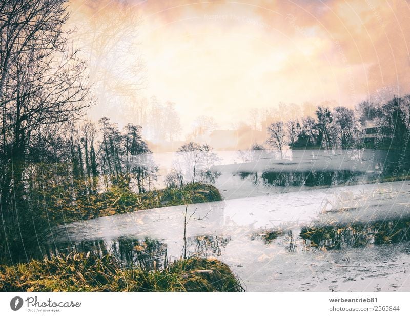 Parkgeschichten Design schön Meer Kunst Natur Landschaft Wolken Nebel Baum Teich See Fluss außergewöhnlich fantastisch Macht Kreativität Rätsel Surrealismus