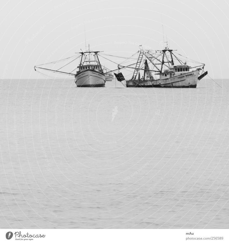 Ausgefischt Fischerboot fangen Jagd Brasilien Angeln Netz Schwarzweißfoto Außenaufnahme Menschenleer Tag Kontrast