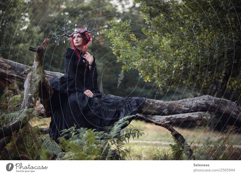 . Mensch feminin Frau Erwachsene 1 Umwelt Natur Sommer Baum Garten Park träumen natürlich Fantasygeschichte fantastisch Kopfschmuck Farbfoto Außenaufnahme