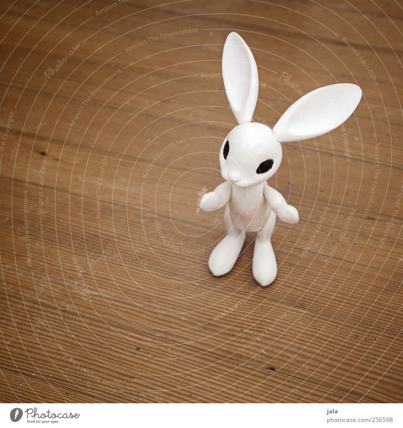 follow the white rabbit Kinderspiel Dekoration & Verzierung Ostern Tier Hase & Kaninchen Kitsch Krimskrams weiß Figur Parkett Holzfußboden Farbfoto