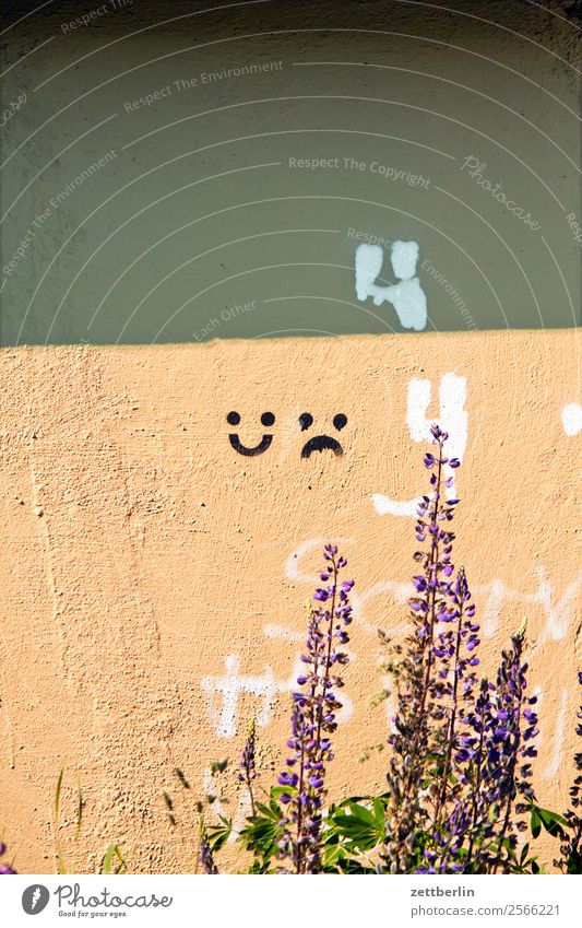 :) und :( und Lupine Haus Scheune Lagerschuppen Wand Mauer Putz verputzt Gesicht Smiley Fröhlichkeit Traurigkeit Gesichtsausdruck Piktogramm Menschenleer