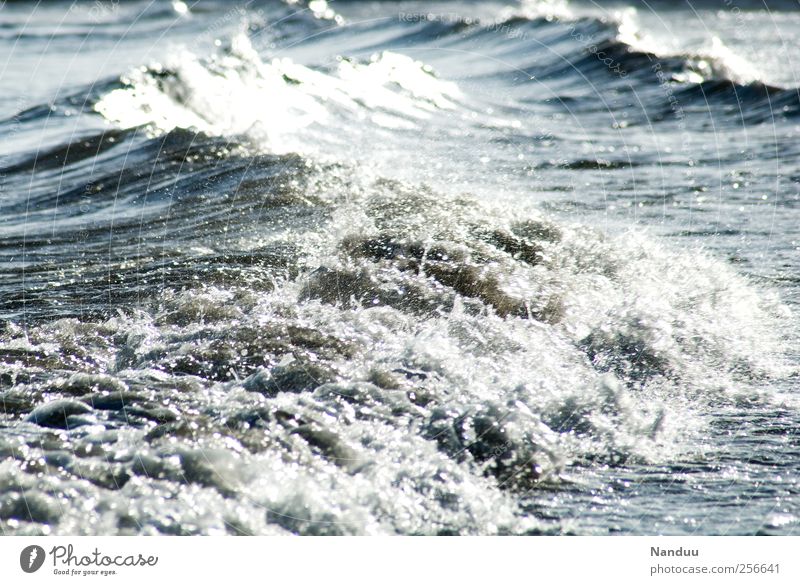 Urkraft Umwelt Natur Unendlichkeit Meer Wellen Gezeiten Gischt Urelemente Wasser Farbfoto Gedeckte Farben Außenaufnahme Detailaufnahme Tag