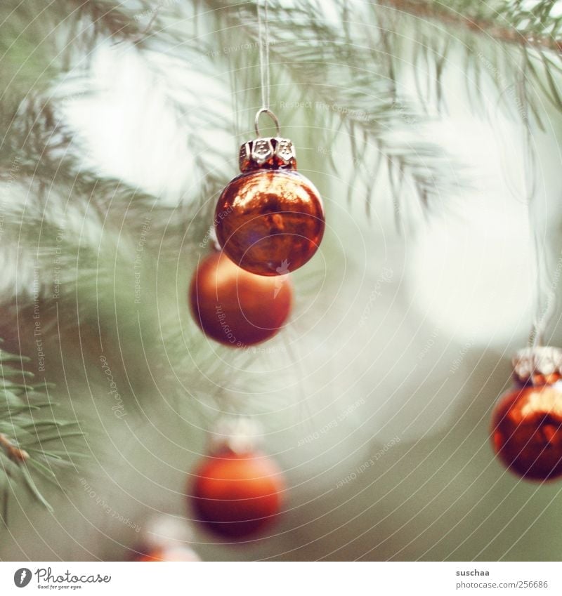 die welt ... Feste & Feiern Weihnachten & Advent Kugel rot Christbaumkugel Weihnachtsdekoration Baumschmuck Tannenbaum Tannenzweig Tannennadeln aufhängen