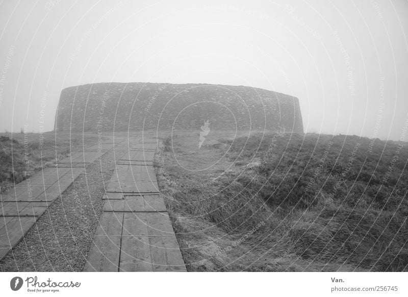 Grianán of Aileach Umwelt Himmel Herbst schlechtes Wetter Nebel Pflanze Gras Wiese Republik Irland Ruine Bauwerk Festung Mauer Wand Sehenswürdigkeit