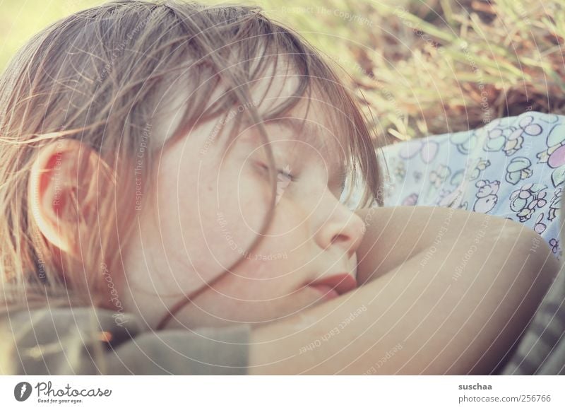 schlafen Kind Mädchen Kindheit Haut Kopf Haare & Frisuren Gesicht Ohr Nase Mund Lippen Arme 3-8 Jahre Sonnenlicht Sommer Schönes Wetter Gras Erholung