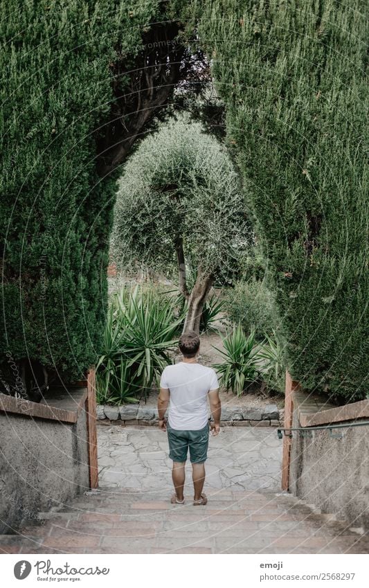 Cannes maskulin Junger Mann Jugendliche Erwachsene 1 Mensch 18-30 Jahre Pflanze Baum Park Treppe natürlich grün Farbfoto Außenaufnahme Tag