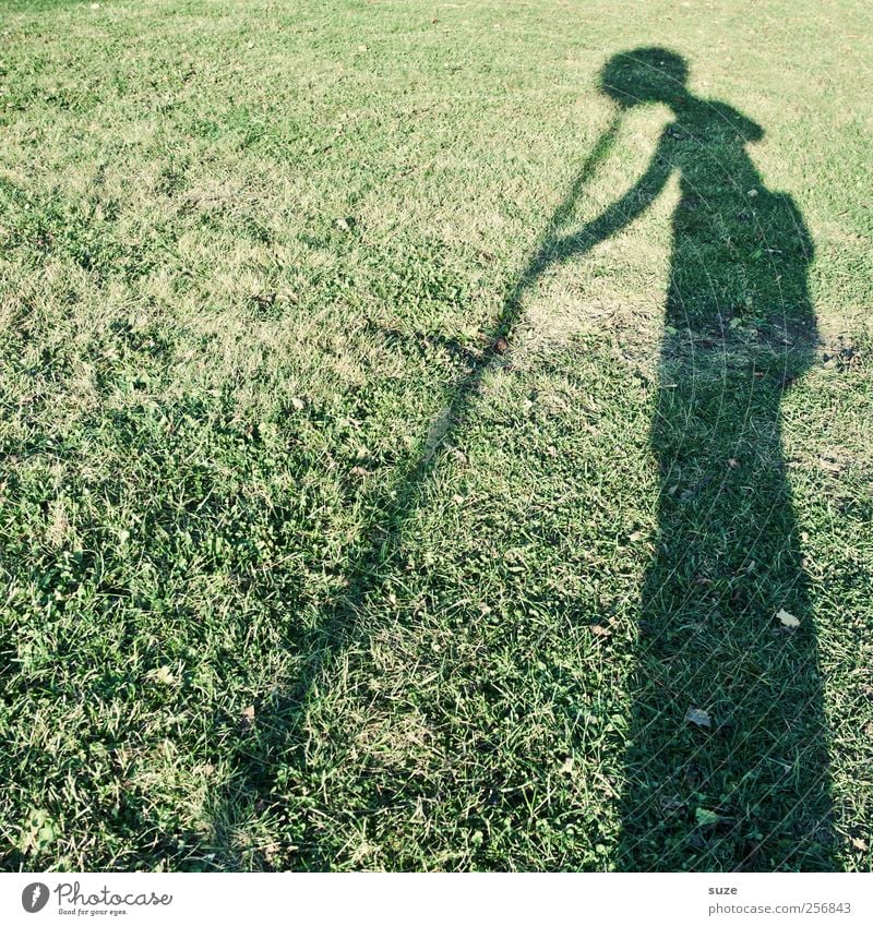 Kopfstand Freizeit & Hobby Mensch 1 Umwelt Natur Gras Wiese Hinweisschild Warnschild außergewöhnlich lustig verrückt grün Schattenspiel Stab Schattenseite