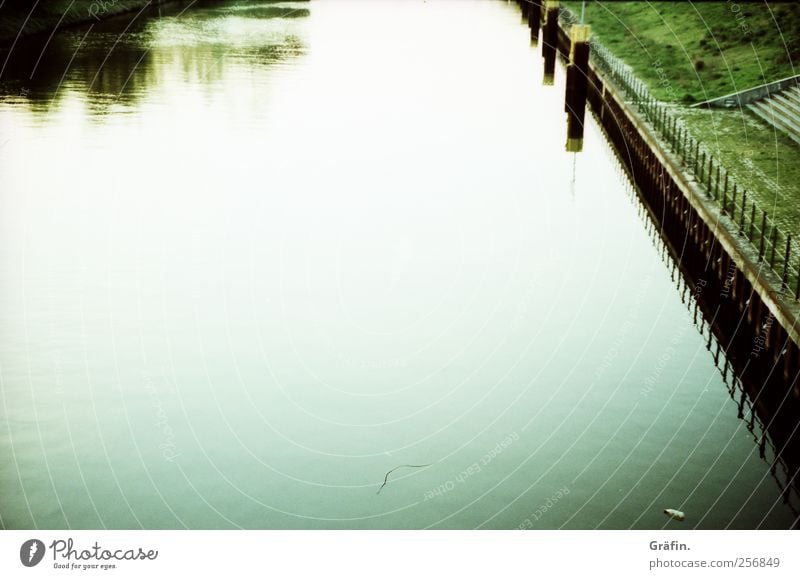 Am Kanal Wasser Herbst Wiese Flussufer Menschenleer grün weiß Romantik ruhig Einsamkeit Reflexion & Spiegelung Farbfoto Außenaufnahme Textfreiraum oben