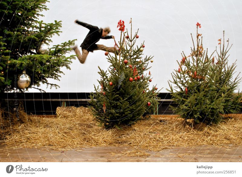 weihnachtsferien Feste & Feiern Weihnachten & Advent Mensch maskulin 1 Kultur Umwelt Natur Baum Hose Jacke Kugel Schleife springen Weihnachtsbaum Freude