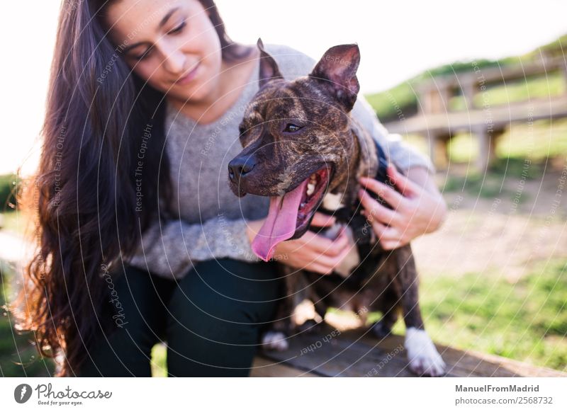 junge Frau mit ihrem Hund Lifestyle Glück schön Erwachsene Freundschaft Natur Tier Gras Park Haustier Lächeln niedlich grün Freude Fröhlichkeit Vertrauen