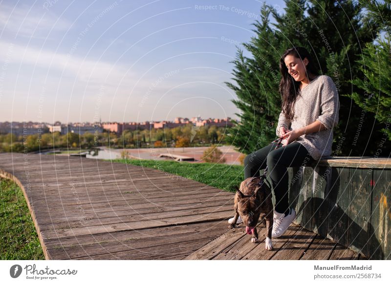 junge Frau sitzt mit ihrem Hund im Sitzen Lifestyle Glück schön Erwachsene Freundschaft Natur Tier Gras Park Haustier Lächeln sitzen niedlich grün Vertrauen