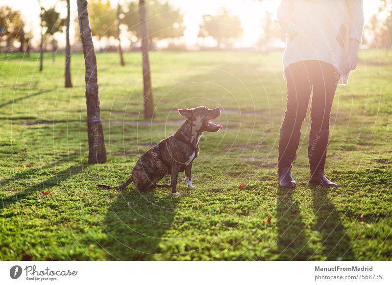 Hund sitzt neben einer anonymen Frau in einem Park. Lifestyle schön Erwachsene Freundschaft Tier Baum Haustier sitzen niedlich Optimismus Geborgenheit