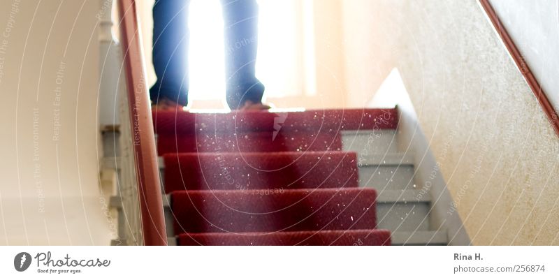 der Mann auf der Treppe Mensch maskulin 1 Jeanshose bedrohlich rot gefährlich Angst Treppenhaus Altbau Beine Farbfoto Innenaufnahme Licht Reflexion & Spiegelung