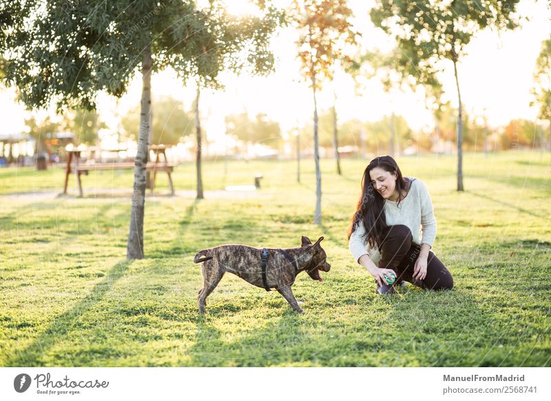 junge Frau spielt mit ihrem Hund Lifestyle Glück schön Erwachsene Freundschaft Natur Tier Gras Park Haustier Lächeln niedlich grün Freude Fröhlichkeit