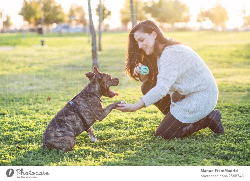 fröhliche Frau und Hund schütteln Hand und Pfote Lifestyle Glück schön Spielen Erwachsene Freundschaft Natur Tier Gras Park Haustier Lächeln niedlich grün