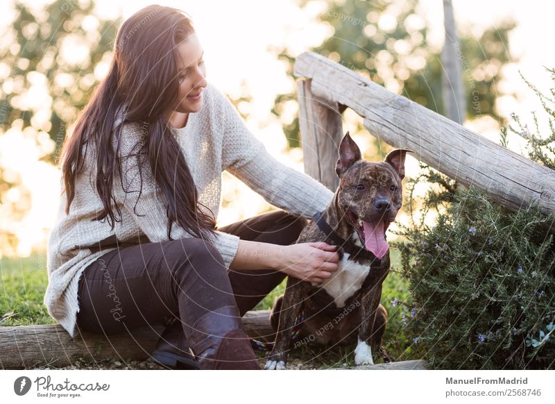 junge Frau mit ihrem Hund in einem Park Lifestyle Glück schön Erwachsene Freundschaft Natur Tier Gras Haustier Lächeln niedlich grün Fröhlichkeit Vertrauen