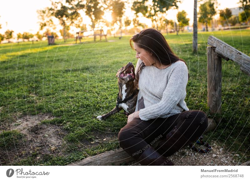 junge Frau mit ihrem Hund in einem Park Lifestyle Glück schön Erwachsene Freundschaft Natur Tier Gras Haustier Lächeln niedlich grün Freude Fröhlichkeit