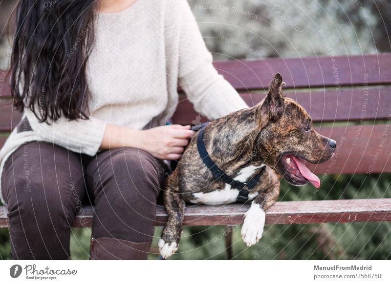 verlierter Blick auf eine anonyme Frau mit ihrem Hund Lifestyle schön Erwachsene Freundschaft Tier Park Haustier genießen sitzen Freundlichkeit Fröhlichkeit