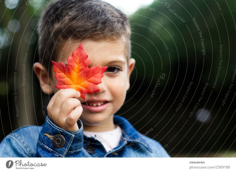 Süßer Junge zeigt im Herbst ein Blatt im Wald. Lifestyle Freude Glück schön Gesicht Spielen Berge u. Gebirge Garten Bildung Kind Mensch Kleinkind Mann