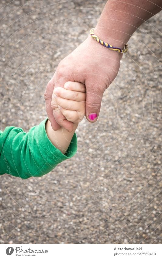 Hände Mensch Kind Kleinkind Mädchen Junge Eltern Erwachsene Mutter Hand festhalten schön Vertrauen Sicherheit Schutz Geborgenheit Kindheit