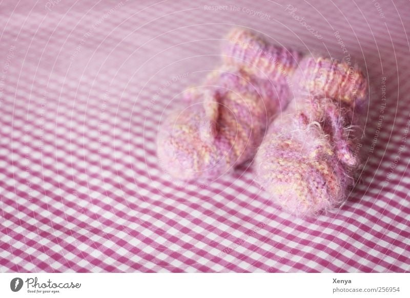 Warmes für kleine Füsse Babysöckchen rosa Geborgenheit kuschlig weich Wolle Mädchen gestrickt Nahaufnahme Menschenleer Textfreiraum links Tag