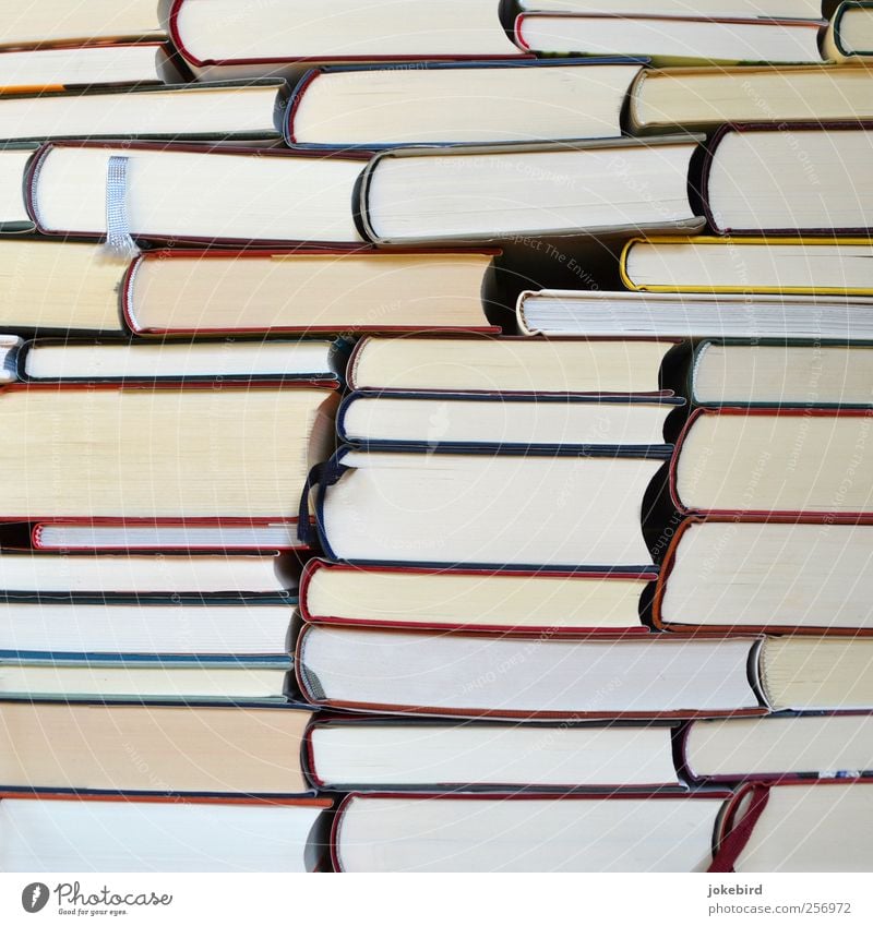 Wissensspeicher Buch Bibliothek lesen Lesezeichen Papier klug Bildung Idee Inspiration Konzentration Kultur lernen Schule Stapel Wissenschaften Farbfoto