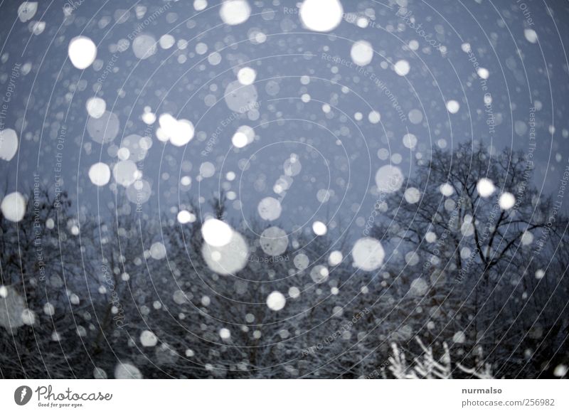 Simulation Natur Landschaft Nachthimmel Winter Klima Wetter Schnee Schneefall Park fallen frieren glänzend frisch kalt Stimmung schön Schneeflocke