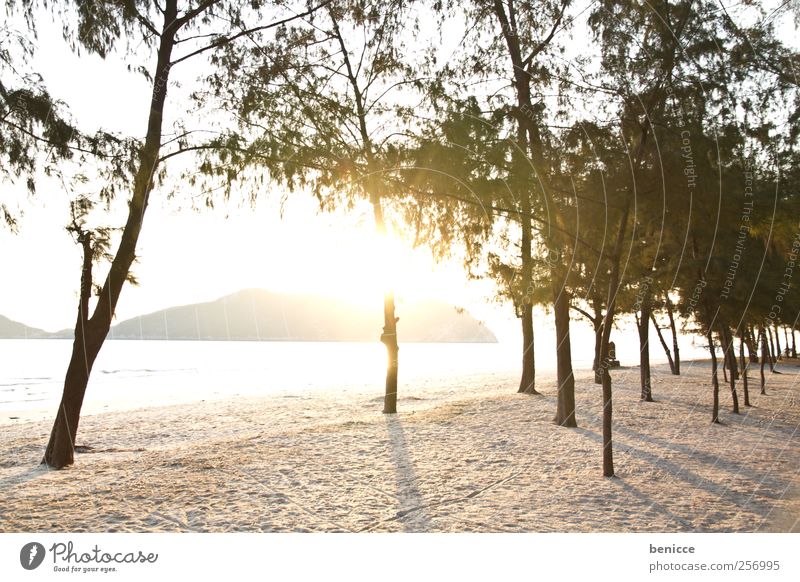 sunrise in thailand Thailand Sand Sandstrand Strand Sonne Gegenlicht Natur Baum Sonnenstrahlen Menschenleer Insel Paradies Ferien & Urlaub & Reisen Einsamkeit