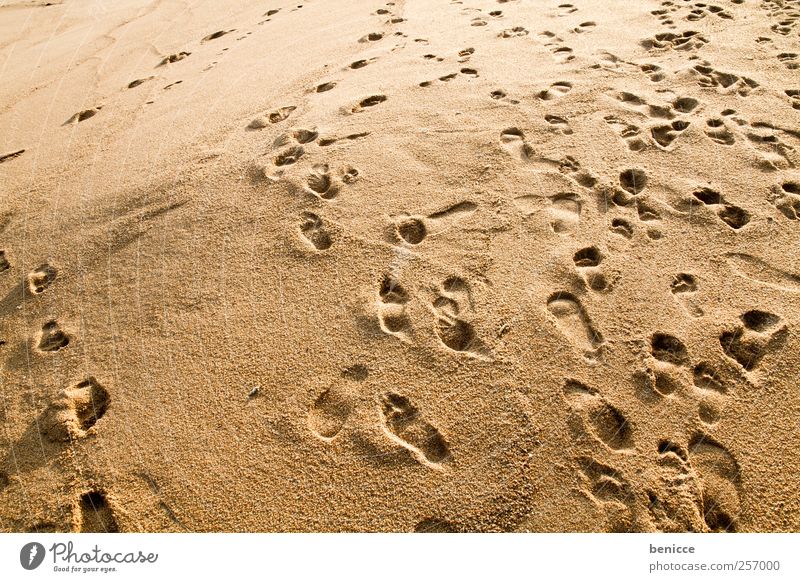 chaos Sand Strand Sandstrand Ferien & Urlaub & Reisen Fußspur Bewegung Hintergrundbild gehen chaotisch Irritation