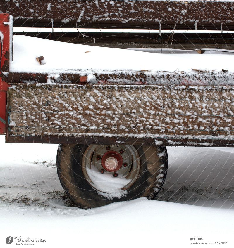 Winterreifen schlechtes Wetter Schnee Verkehrsmittel Güterverkehr & Logistik Lastwagen Traktor Anhänger kalt Reifen winterreifen Farbfoto Außenaufnahme