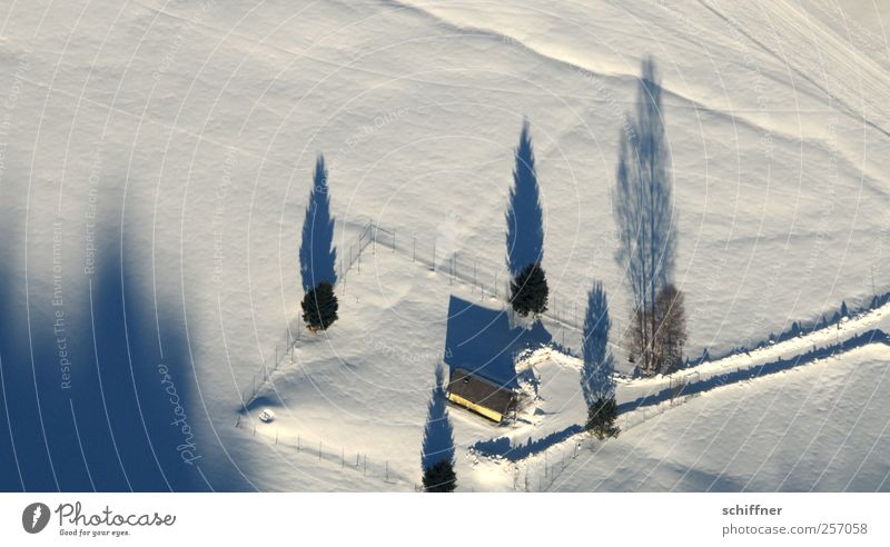 Große Ereignisse... Landschaft Winter Schönes Wetter Eis Frost Schnee Baum Haus kalt weiß Schneelandschaft Schatten Schattenspiel Bauernhof Wege & Pfade