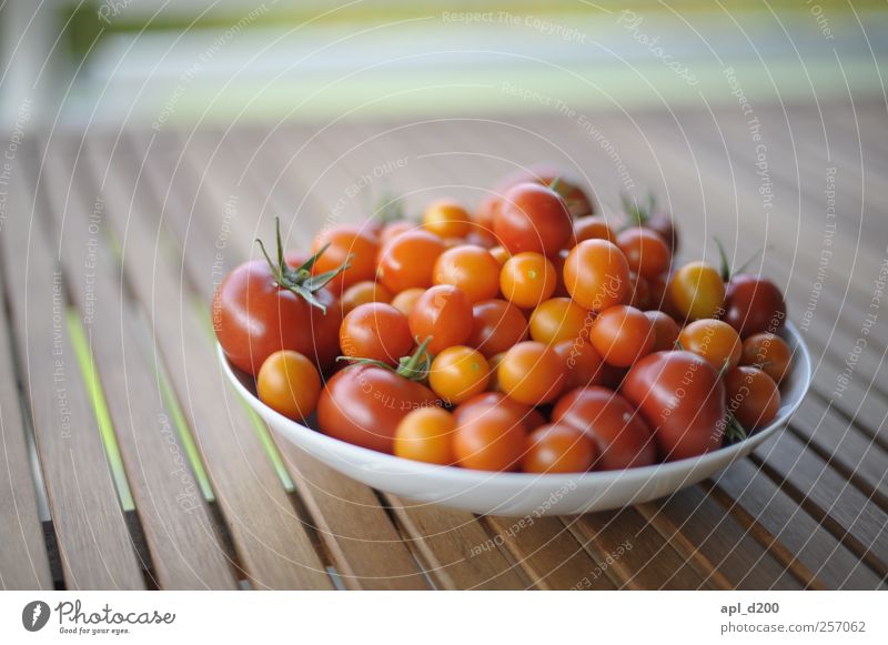 Erntedank Lebensmittel Gemüse Tomate Ernährung Bioprodukte Teller liegen authentisch Duft gelb grün rot Warmherzigkeit einzigartig elegant Tisch