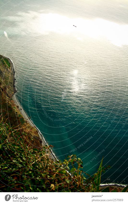 Madeirensische Steilküste Umwelt Natur Landschaft Erde Wasser Wind Pflanze Felsen Bucht Gefühle Stimmung Farbfoto mehrfarbig Außenaufnahme Menschenleer Tag