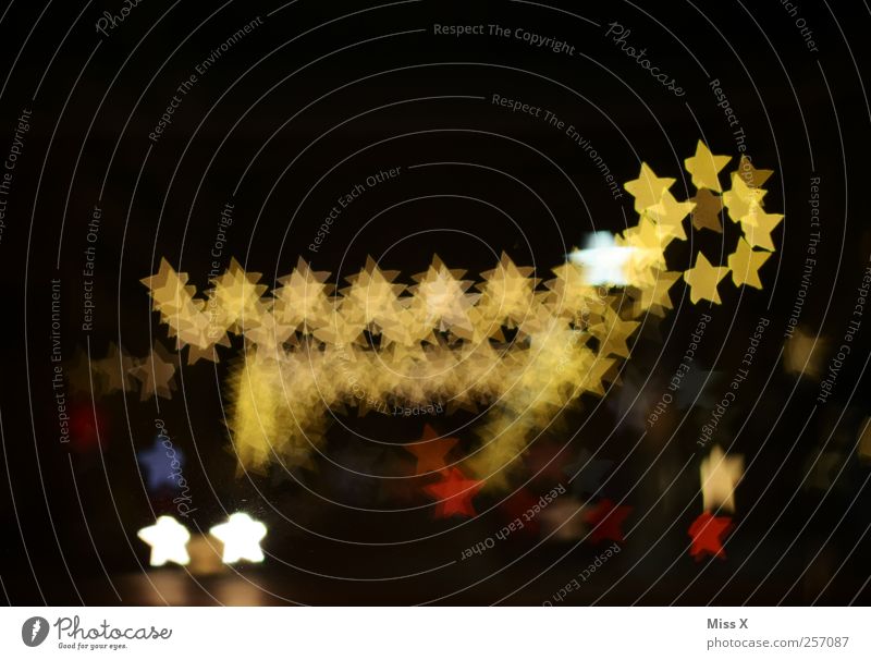 Weihnachtstier Weihnachten & Advent leuchten glänzend Lichterkette Stern (Symbol) Weihnachtsbeleuchtung Weihnachtsdekoration Rentier Figur Beleuchtung