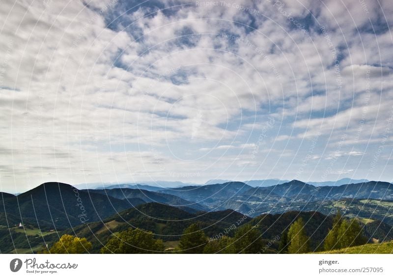 Herz will fliegen... Umwelt Natur Landschaft Himmel Wolken Sommer Berge u. Gebirge hoch Aussicht Slowenien Ferne überblicken Wald schön Farbfoto Gedeckte Farben
